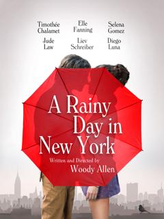 Poster zu A Rainy Day in New York