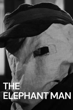 Poster zu Der Elefantenmensch