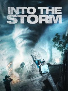 Poster zu Storm Hunters